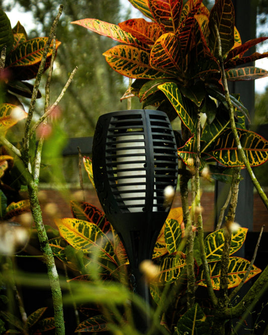 Lampes Solaires pour le Jardin : 7 Idées de Lampes Solaires pour Sublimer votre Jardin - Jardin Frais