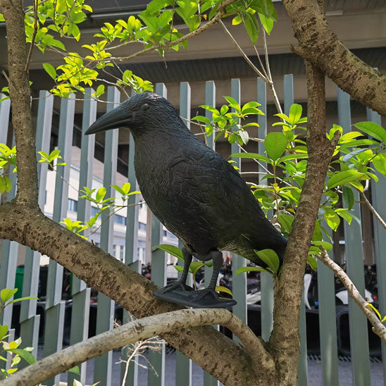 decoration jardin corbeau terrasse