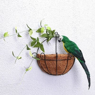 Décoration jardin | Perroquet