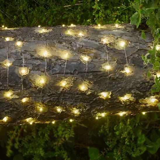 Guirlande lumineuse solaire - Festif Éclats - Jardin Frais