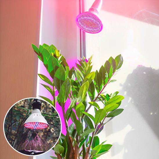 Lampe Horticole LED Magique - Jardin Frais