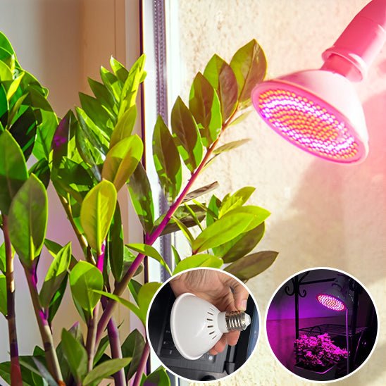 Lampe Horticole LED Magique - Jardin Frais