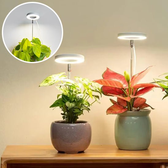 Lampe pour Plante - Lampe Horticole - Jardin Frais
