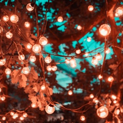 Guirlande Lumineuse Solaire Extérieur : 5 Guirlandes Lumineuses Solaire d'Extérieur Tendance - Jardin Frais