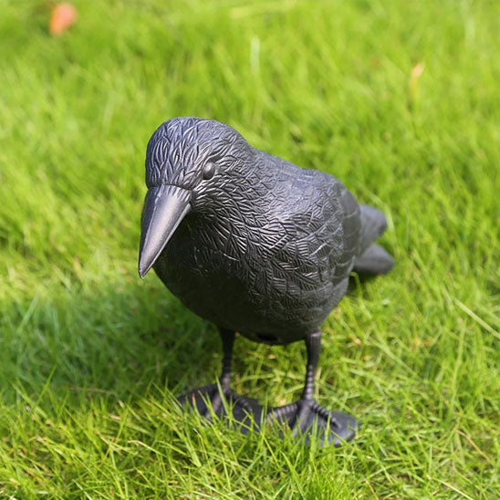 decoration jardin corbeau cour