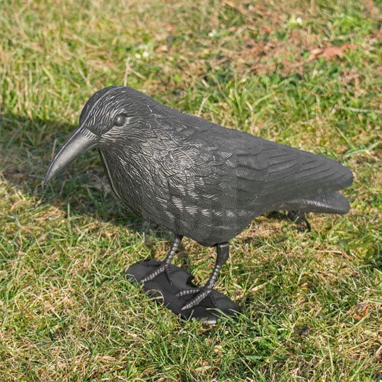 decoration jardin corbeau terre