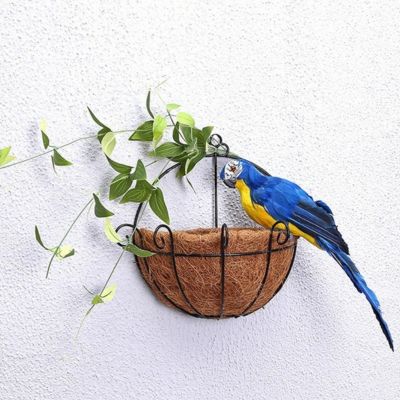 Décoration jardin | Perroquet