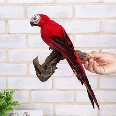 Décoration jardin | Perroquet