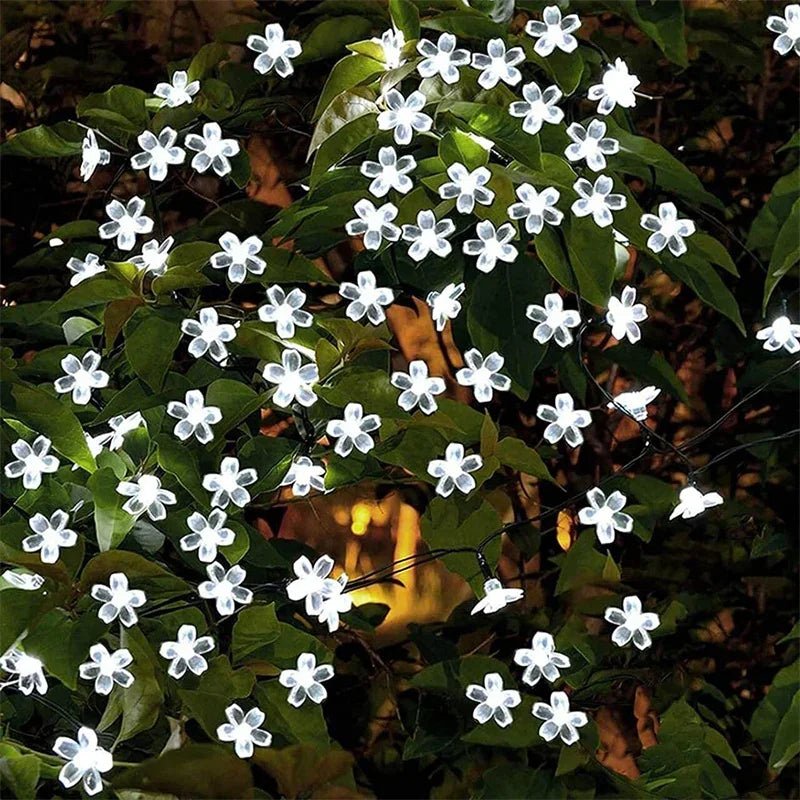 Guirlande Lumineuse Solaire Extérieur - Jardin Frais