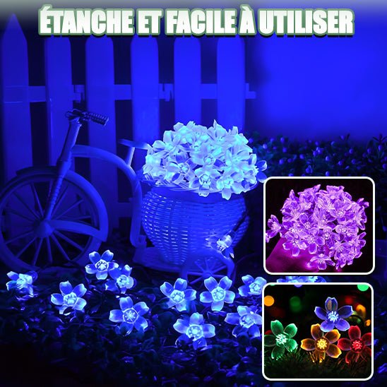 Guirlande Lumineuse Solaire Extérieur - Jardin Frais