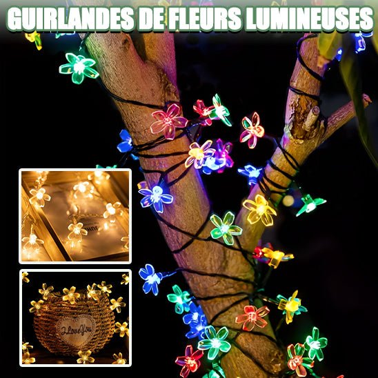 Guirlande Lumineuse Solaire Extérieur - Jardin Frais