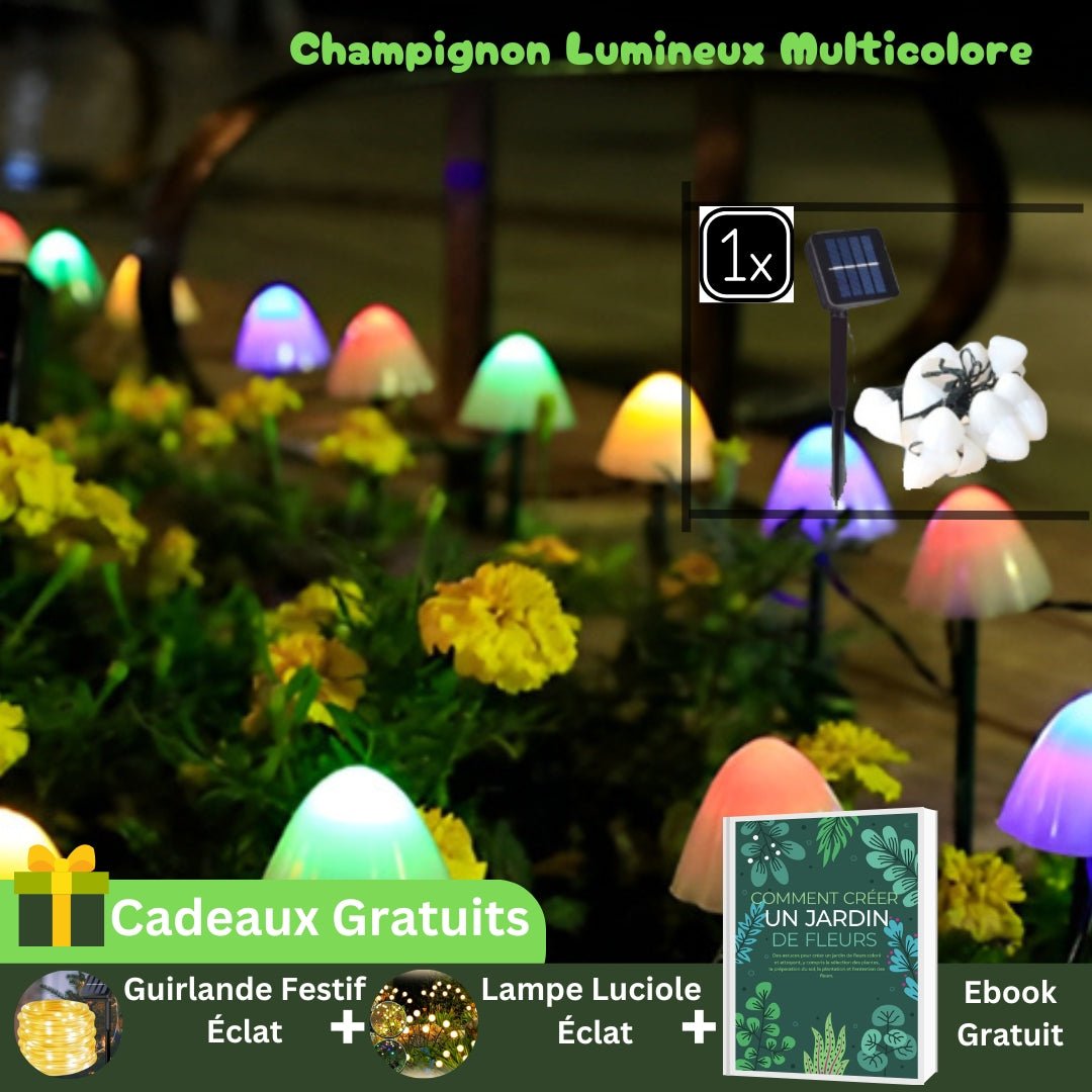 Guirlande Lumineuse Solaire Extérieur - Champignons Lumineux™ - Jardin Frais