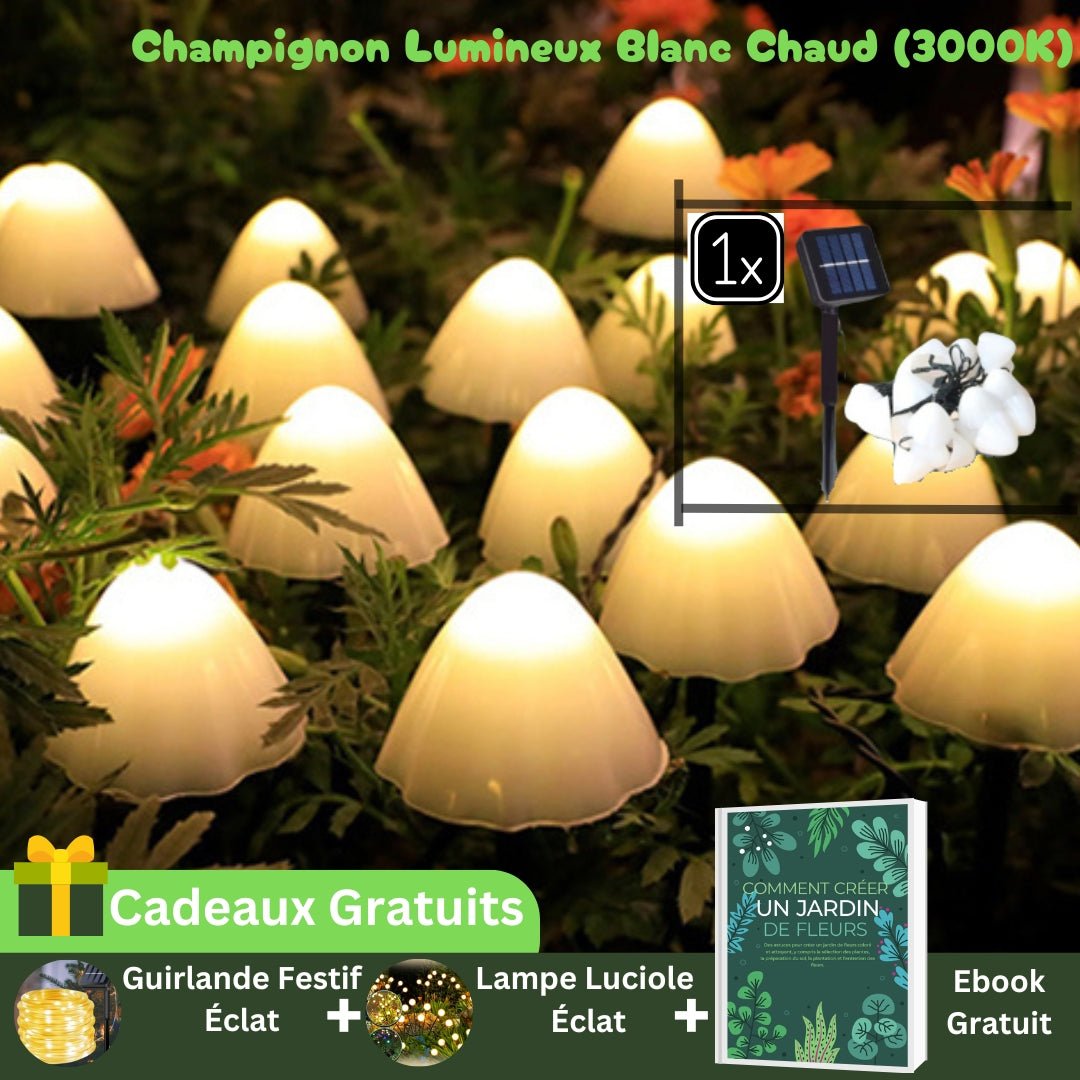 Guirlande Lumineuse Solaire Extérieur - Champignons Lumineux™ - Jardin Frais