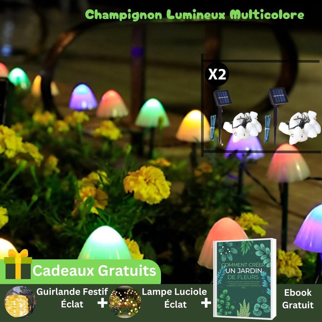 Guirlande Lumineuse Solaire Extérieur - Champignons Lumineux™ - Jardin Frais