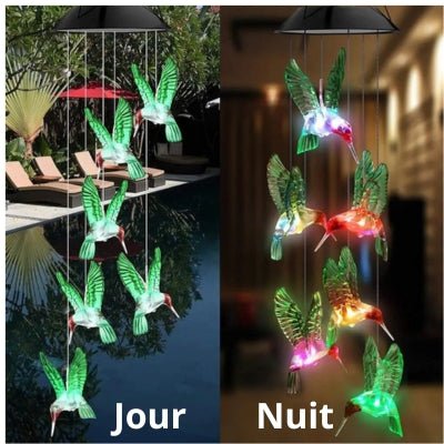 Guirlande Lumineuse Solaire - Multichoix - Jardin Frais