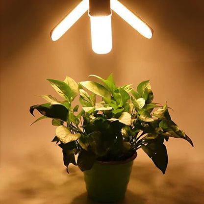 Lampe Horticole - Éclaire Plante - Jardin Frais