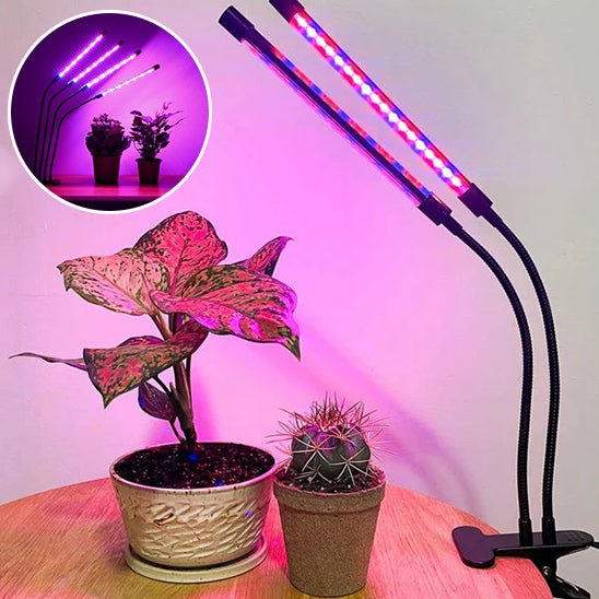 Lampe Horticole - Grow Light - Jardin Frais