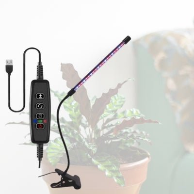 Lampe Horticole - Grow Light - Jardin Frais