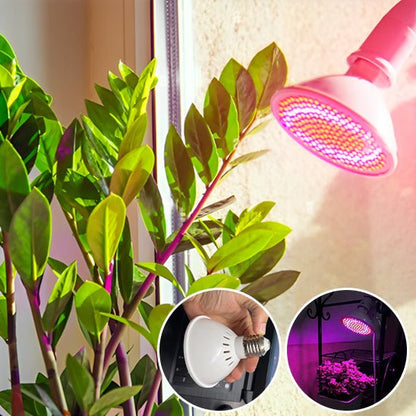 Lampe Horticole LED Magique - Jardin Frais