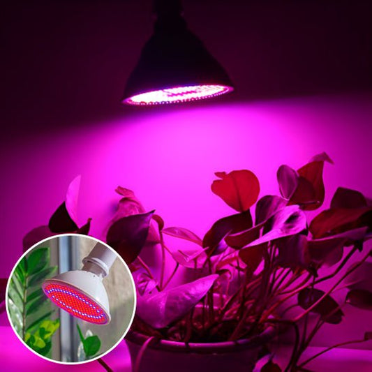 Lampe Horticole LED Magique - Jardin Frais