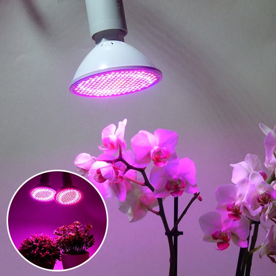 Lampe Horticole LED Magique - Jardin Frais