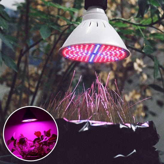 Lampe Horticole LED Magique - Jardin Frais