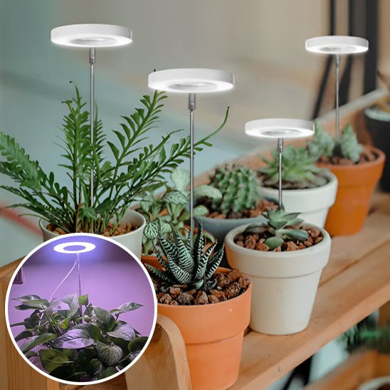 Lampe pour Plante - Lampe Horticole - Jardin Frais
