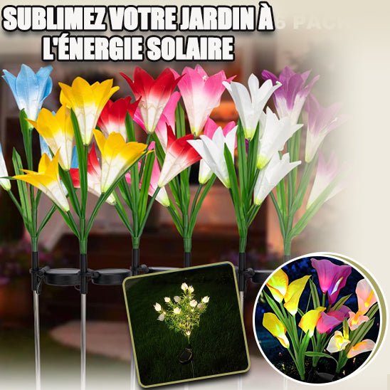 Lampe Solaire pour le Jardin - Fleurs Lumineuses - Jardin Frais