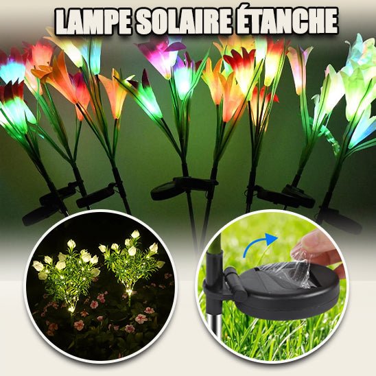 Lampe Solaire pour le Jardin - Fleurs Lumineuses - Jardin Frais