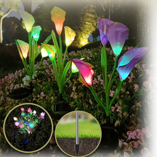 Lampe Solaire pour le Jardin - Fleurs Lumineuses - Jardin Frais