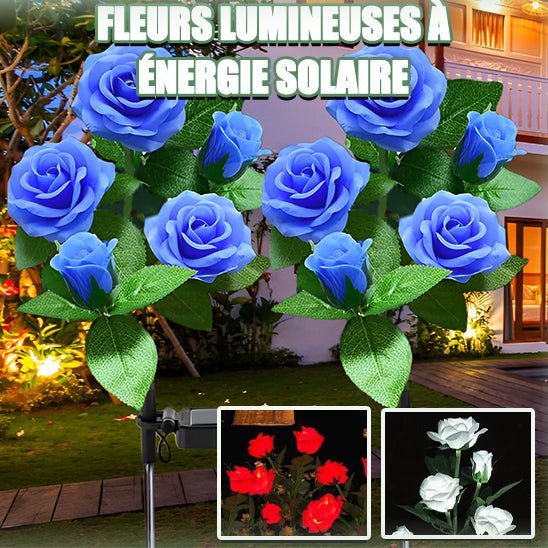 Lampes Solaires pour le Jardin - Fleur Éclat - Jardin Frais