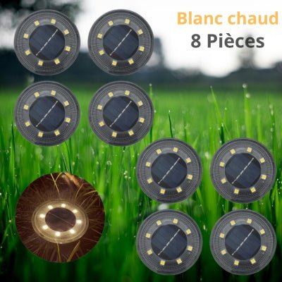 Lampes Solaires pour le Jardin - Lampe Solaire Sol - Jardin Frais