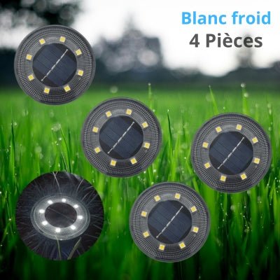 Lampes Solaires pour le Jardin - Lampe Solaire Sol - Jardin Frais