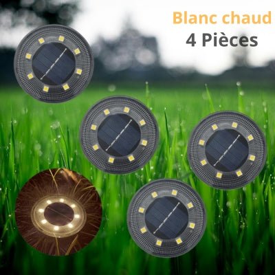 Lampes Solaires pour le Jardin - Lampe Solaire Sol - Jardin Frais