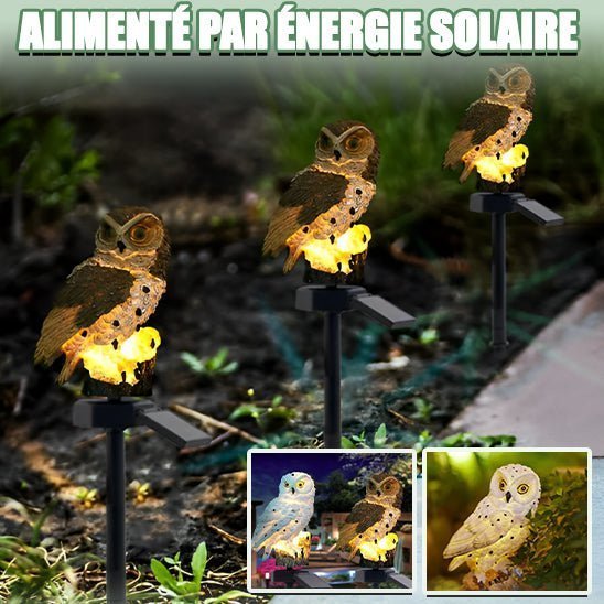 Luminaires Solaires Extérieurs - Hibou - Jardin Frais