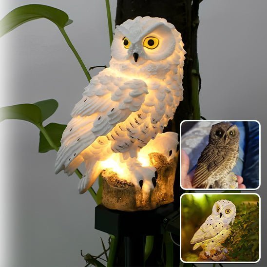 Luminaires Solaires Extérieurs - Hibou - Jardin Frais