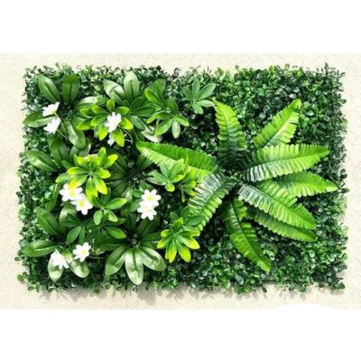 mur vegetal articiel c