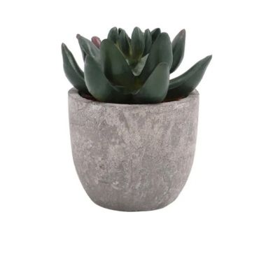 plante artificielle interieur modele d