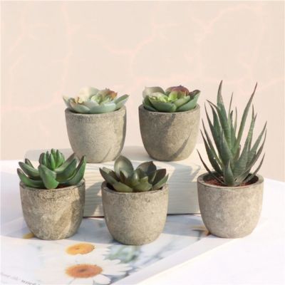 Plante Artificielle Intérieur | Mini Plante