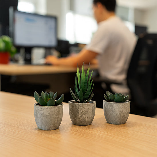 plante artificielle interieur trois