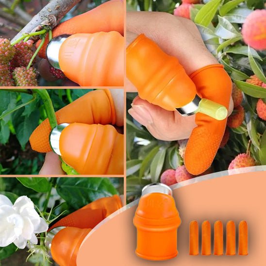 RecolteGlove™ - Gant de cuillettes fruits et légumes - Jardin Frais