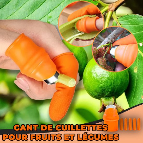 RecolteGlove™ - Gant de cuillettes fruits et légumes - Jardin Frais